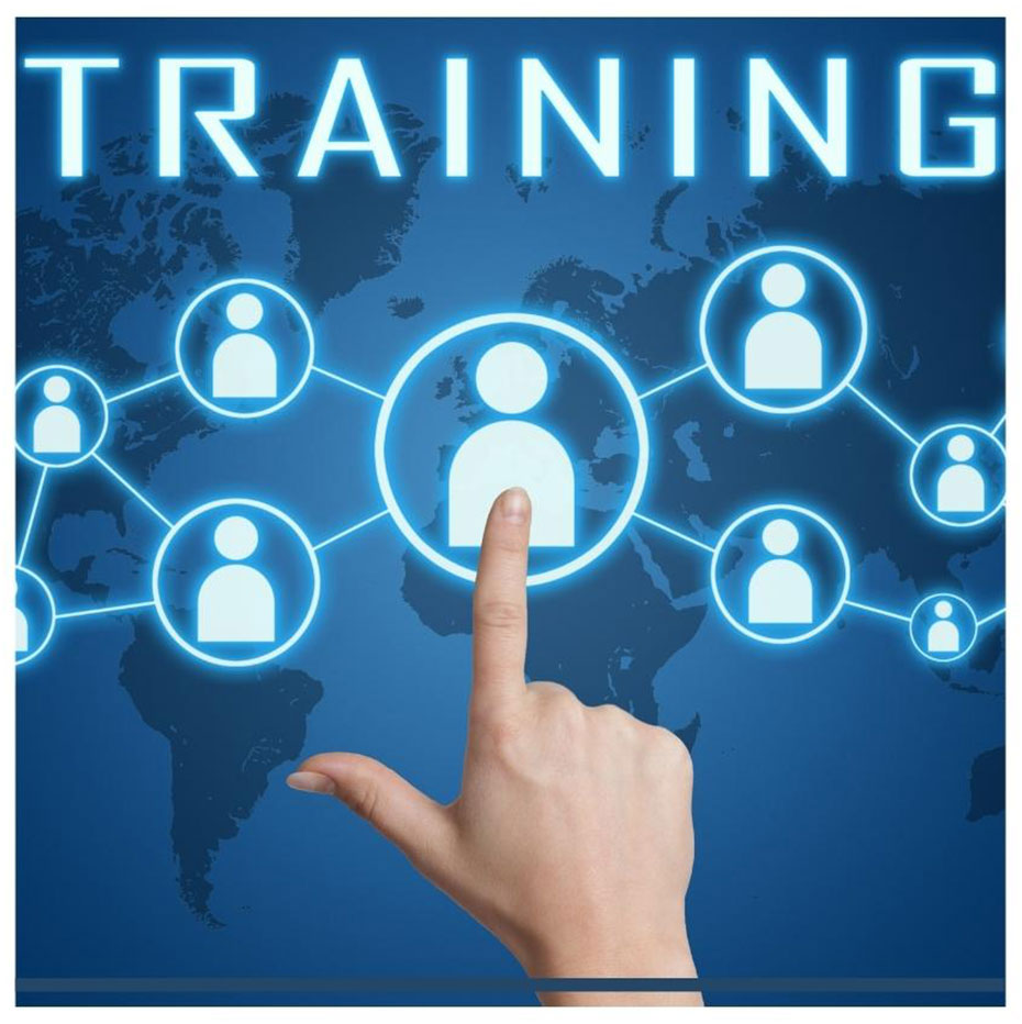 Training, Learning and Development Management